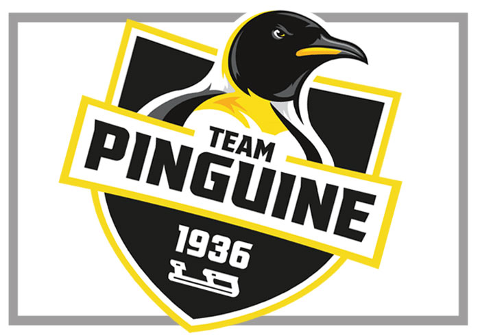 Team Pinguine
